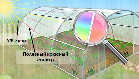 picture94.jpg